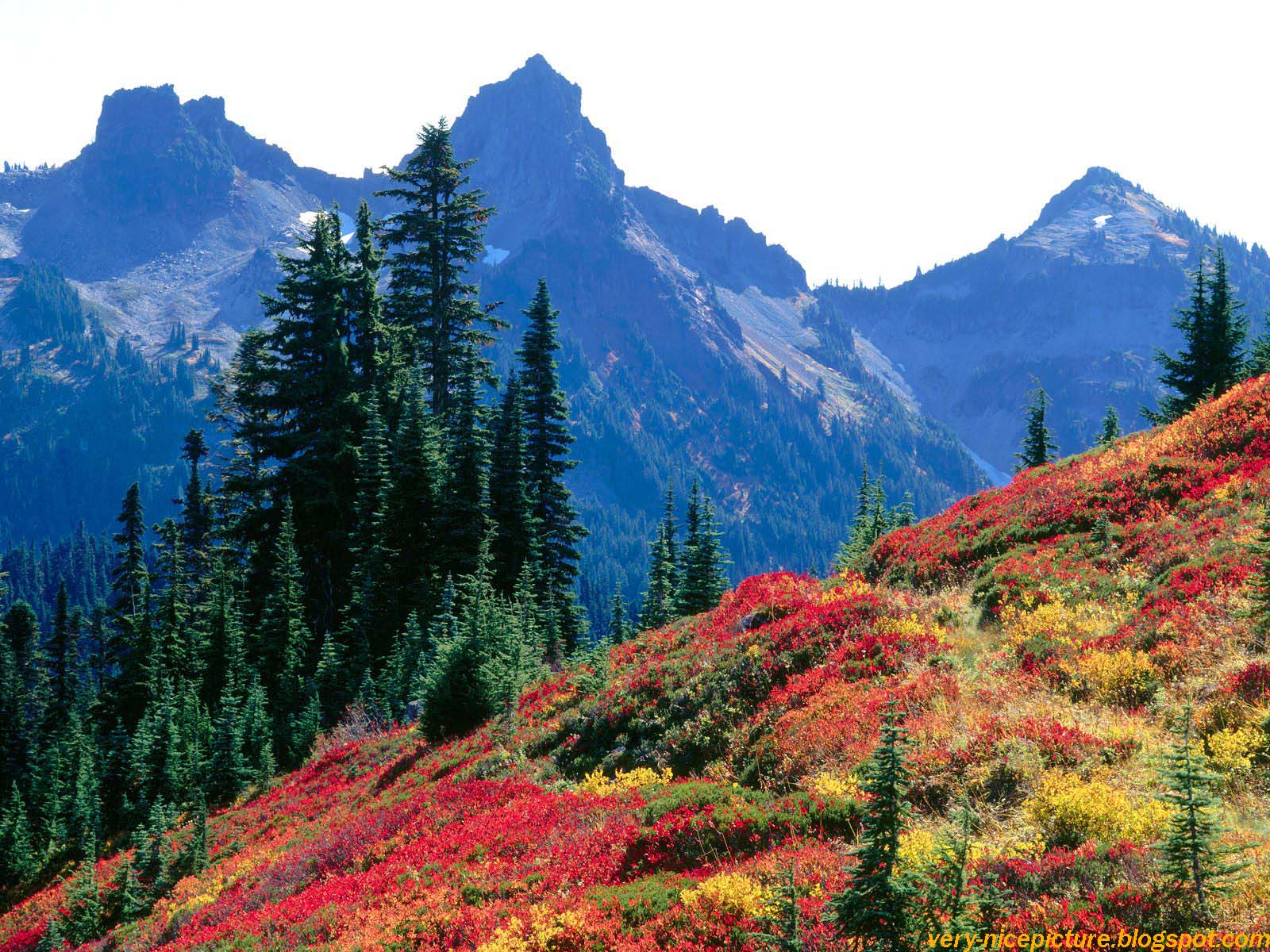 Nice Wallpapers, Islamic Wallpapers, Aqwal e Zareen: Nature wallpaper