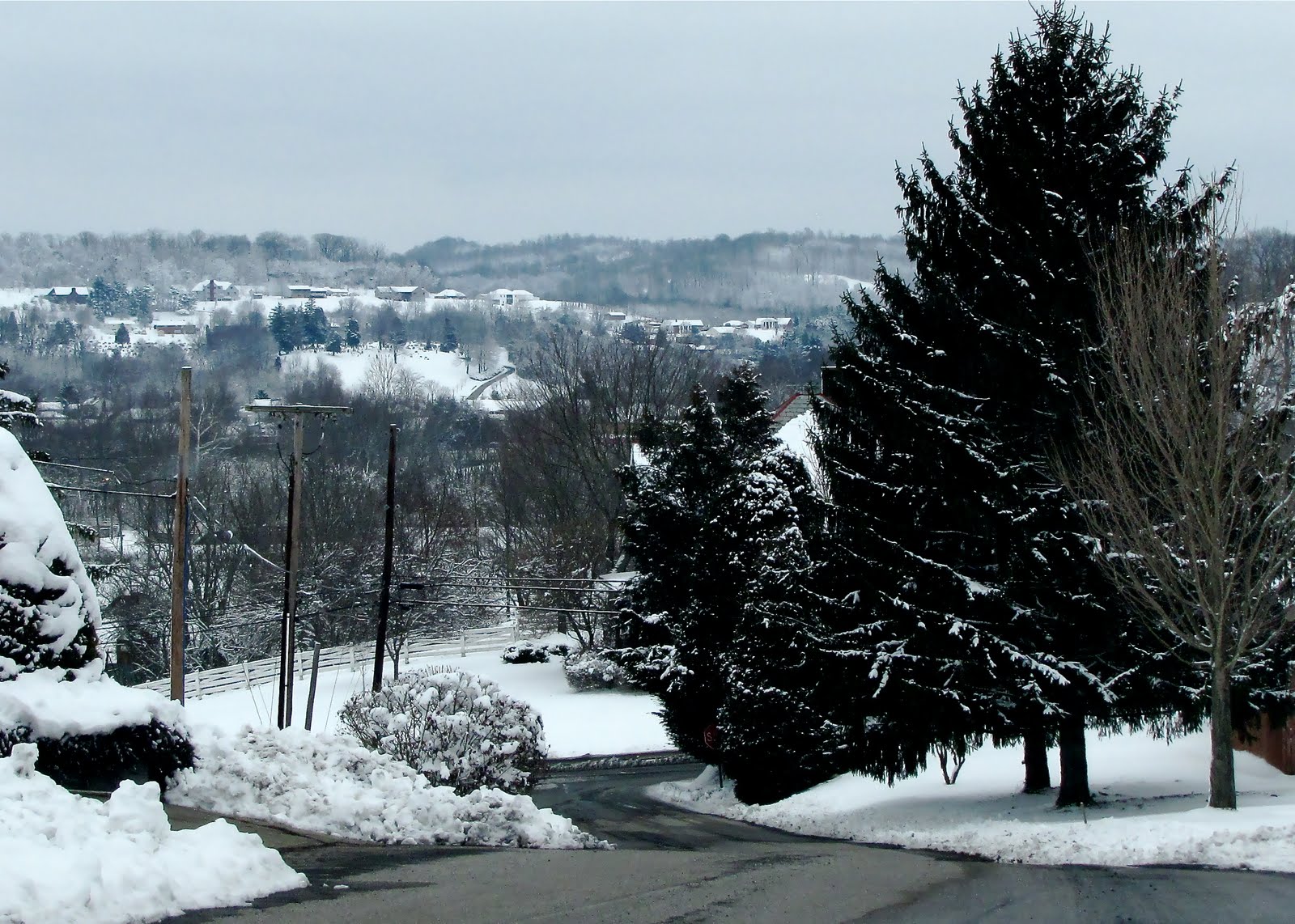 Banjo52 TIDBITS ELKHORN CITY, KENTUCKY