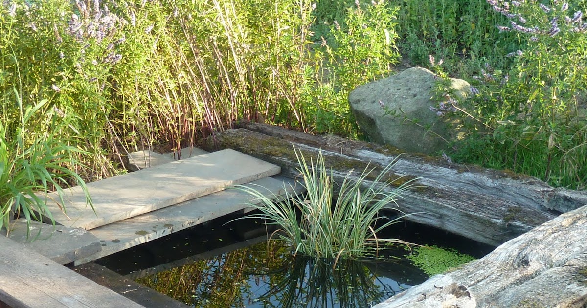 Kitty's Super Allotment: Frogs and Ponds.
