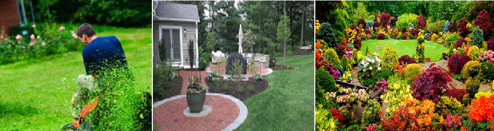 Local Garden Care - Gardening and Landscaping Services