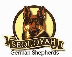 Sequoyah German Shepherds