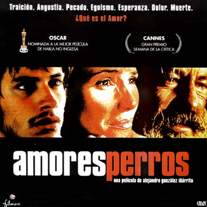 Amores-Perros-Vcd.jpg
