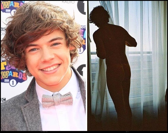 Famosos Zayn Malik Posta Foto De Harry Styles Pelado