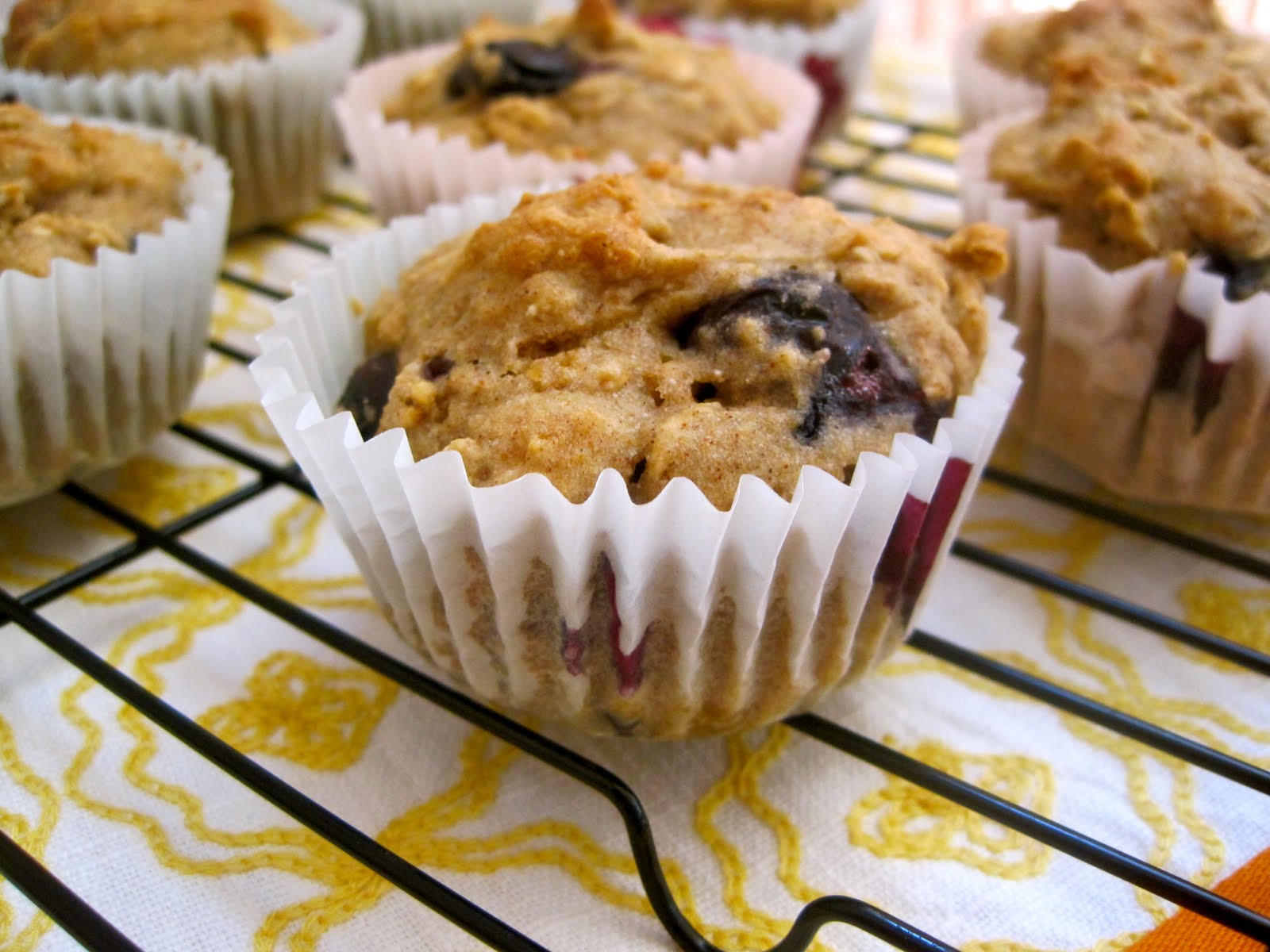 Delectably GlutenFree Blueberry Oatmeal Applesauce Muffins