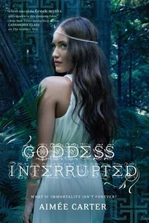Purchase Goddess Interrupted at Amazon.com - unless you were interested in a book that was actually about women Goddess Interrupted cover