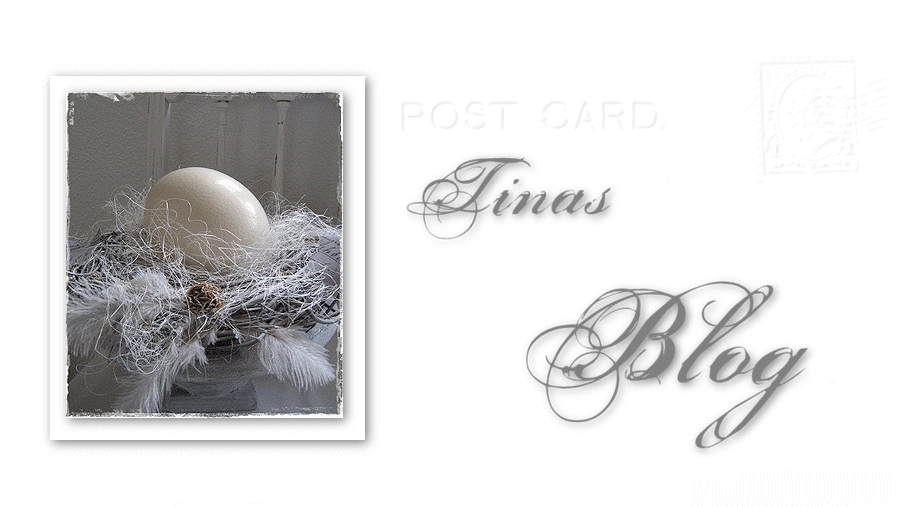 Tinas blog