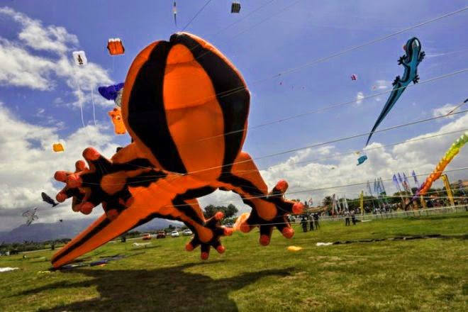 Happy Uttarayan octopus Kites Hd wallpaper 2015 Happy Uttarayan octopus Kites Hd wallpaper 2015