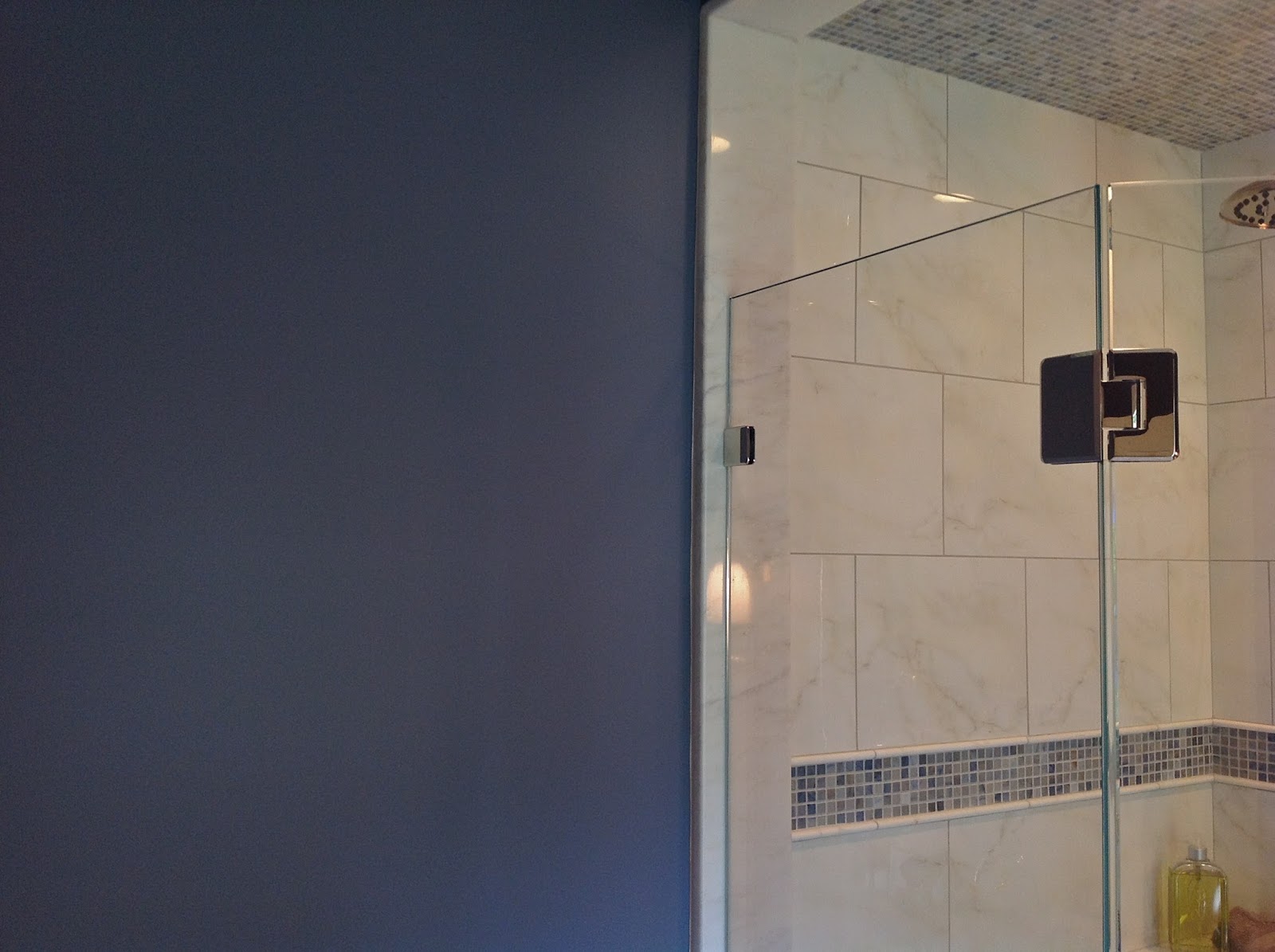 Color Forte Benjamin Moore Montpelier AF555