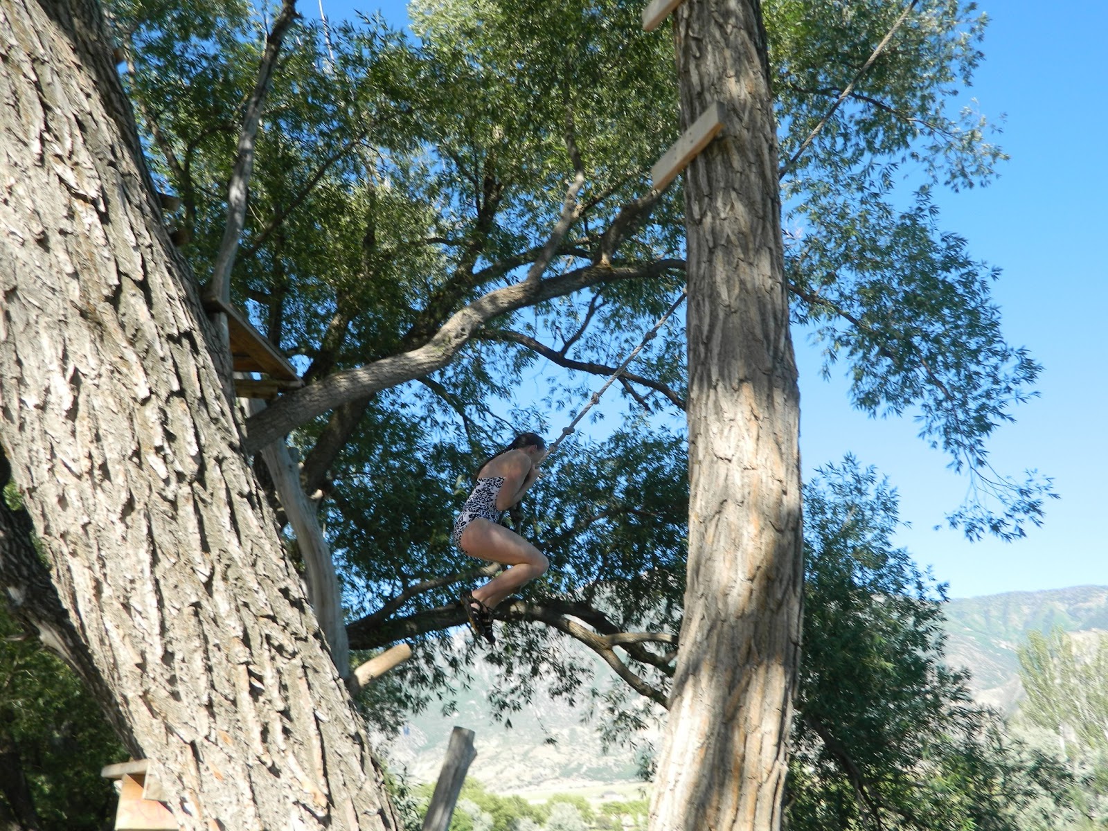 Adventures Of Gavin And Madi Mona Rope Swings