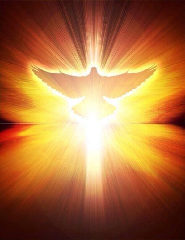 Dark Angel Darkness Descends Dark Angel Darkness Descends