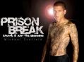 Prison Break 1. sezon 1. bölüm türkçe dublaj hd izle