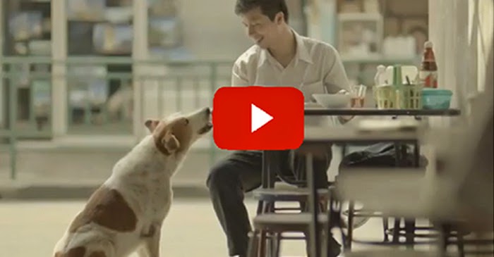 This 3 Minute Video Made Me Cry, And I Never Cry. Must Watch! This 3 Minute Video Made Me Cry, And I Never Cry. Must Watch!