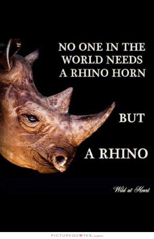 save the rhino