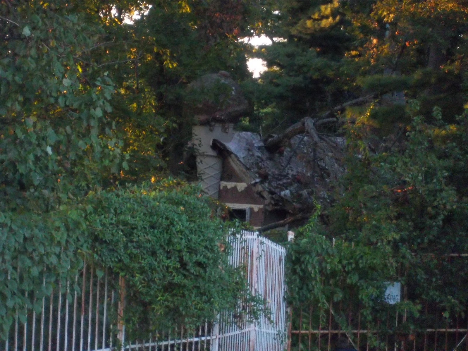 Abandoned Places & New Beginnings The Enchanted Forest/Clark's Elioak