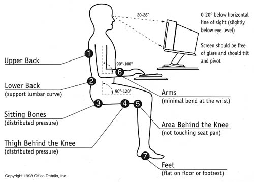 Ergonomic Chart
