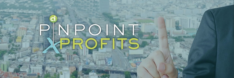 Pinpoint Profits