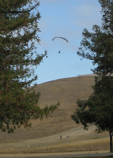 Paraglider near Sandy Wool Lake, Ed Levin County Park, Santa Clara County, California