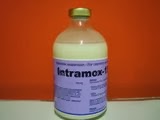 INTRAMOX