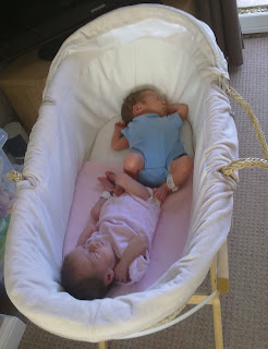 moses basket twins