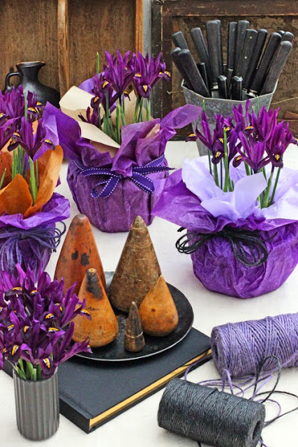 Iris 'George'