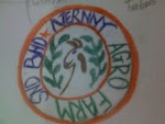 LOGO NERNNY AGRO FARM