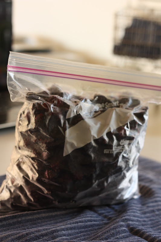 Frugal by Choice, Cheap by Necessity Freezing berries for later, using a DIY vacuum seal