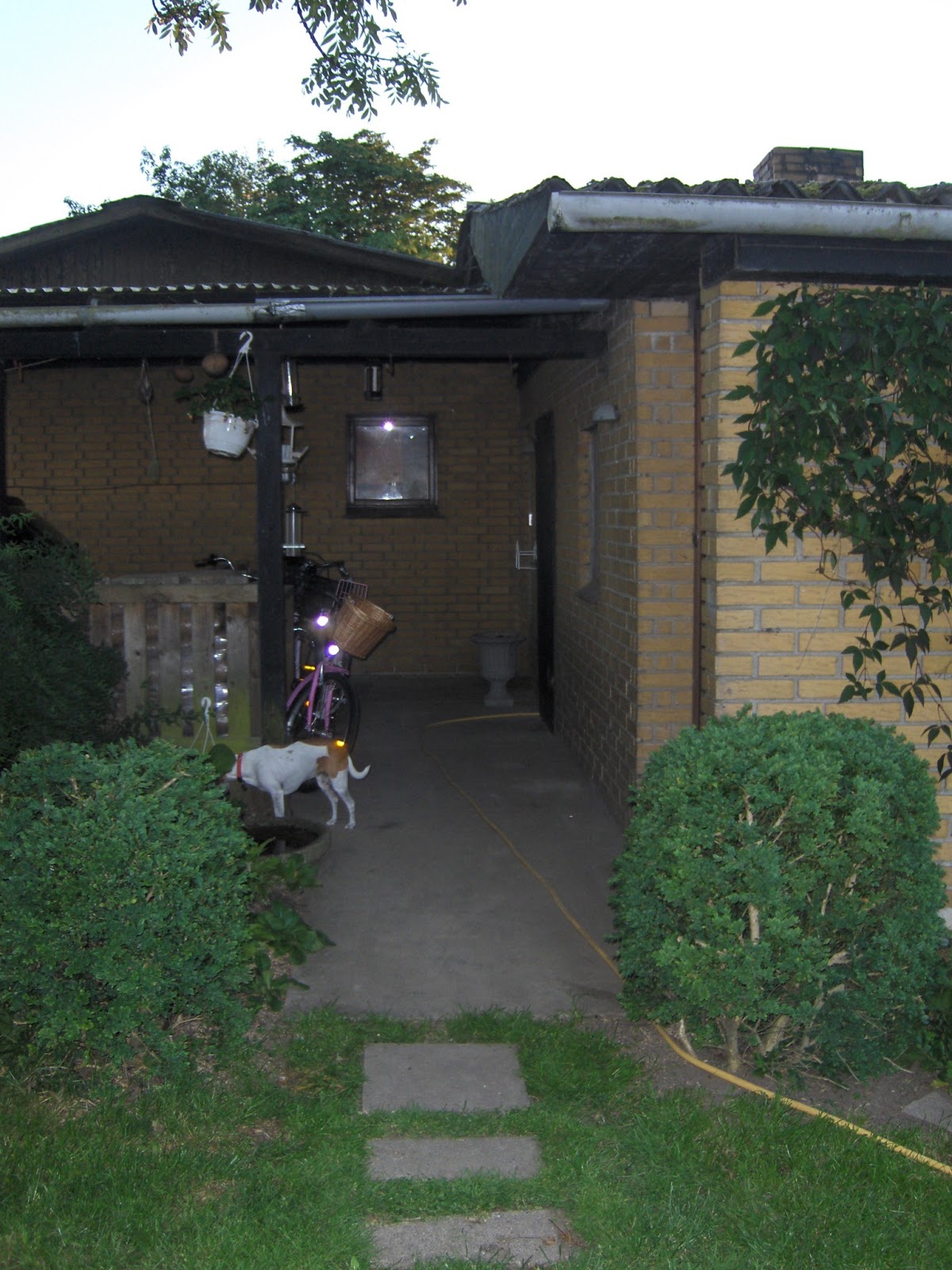 Lad romantikken blomstre: jeg har en plan, del 1 forhaven