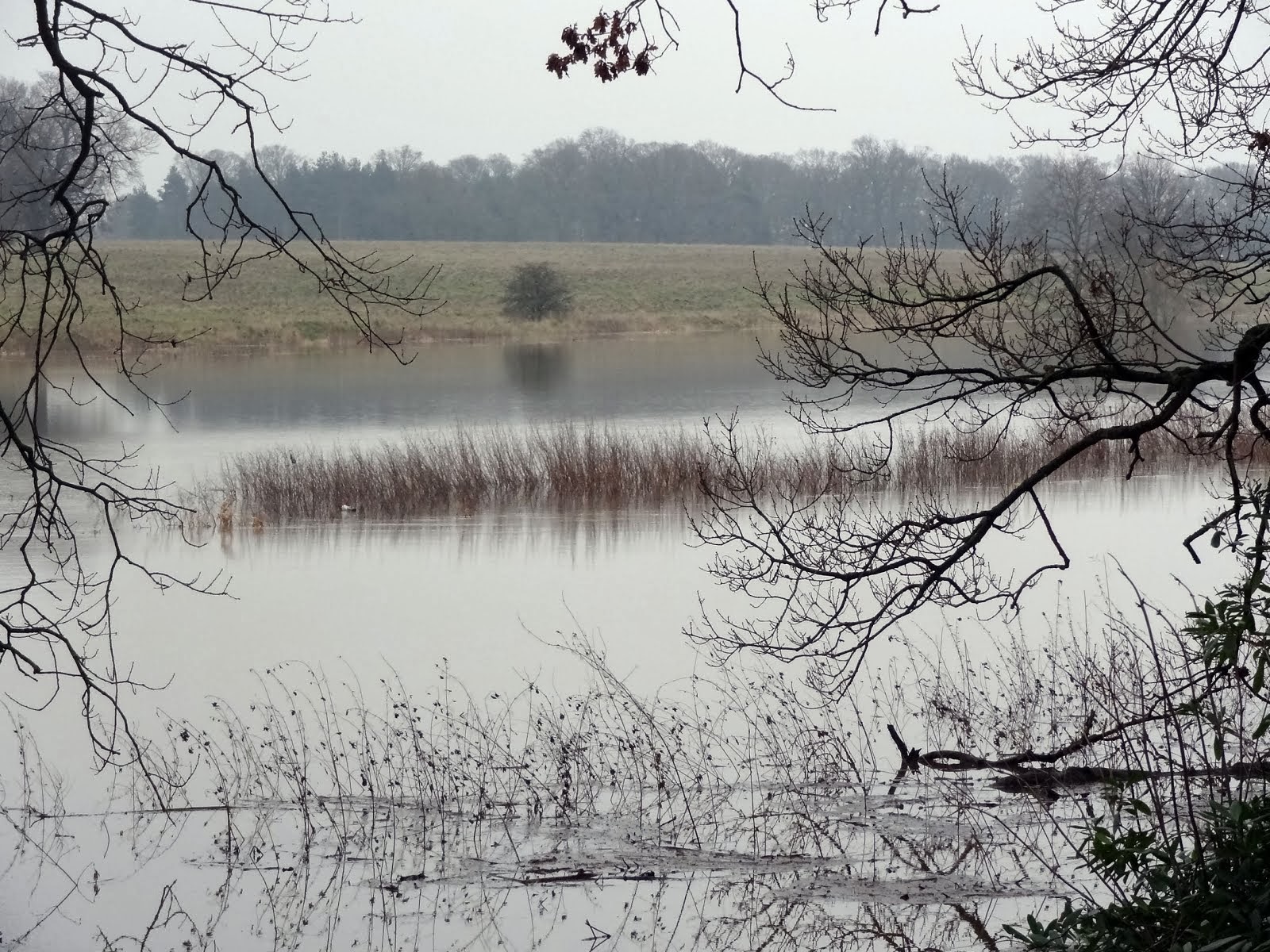 River flood