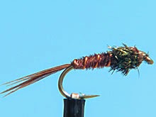 Pheasant tail nymph Indonesia Fly Fishing Indonesia Fly Tying