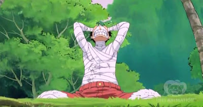 One Piece Episode 506 English Subbed ~ WatchinGate