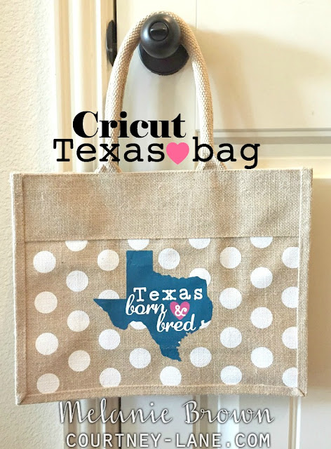 Cricut Texas Bag