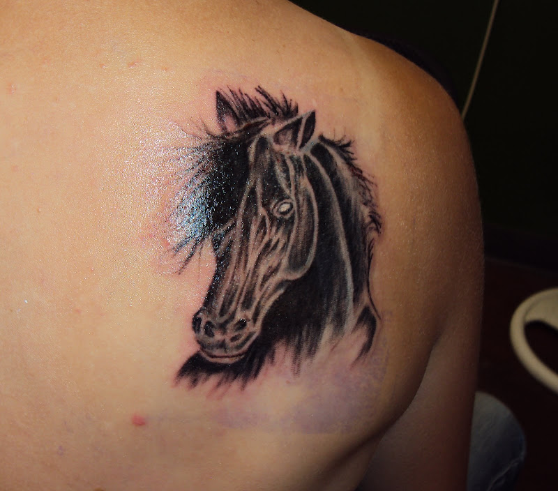 horse head c evilution tattoos las vegas nevada title=