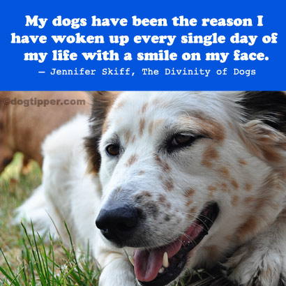 A Reason to Smile