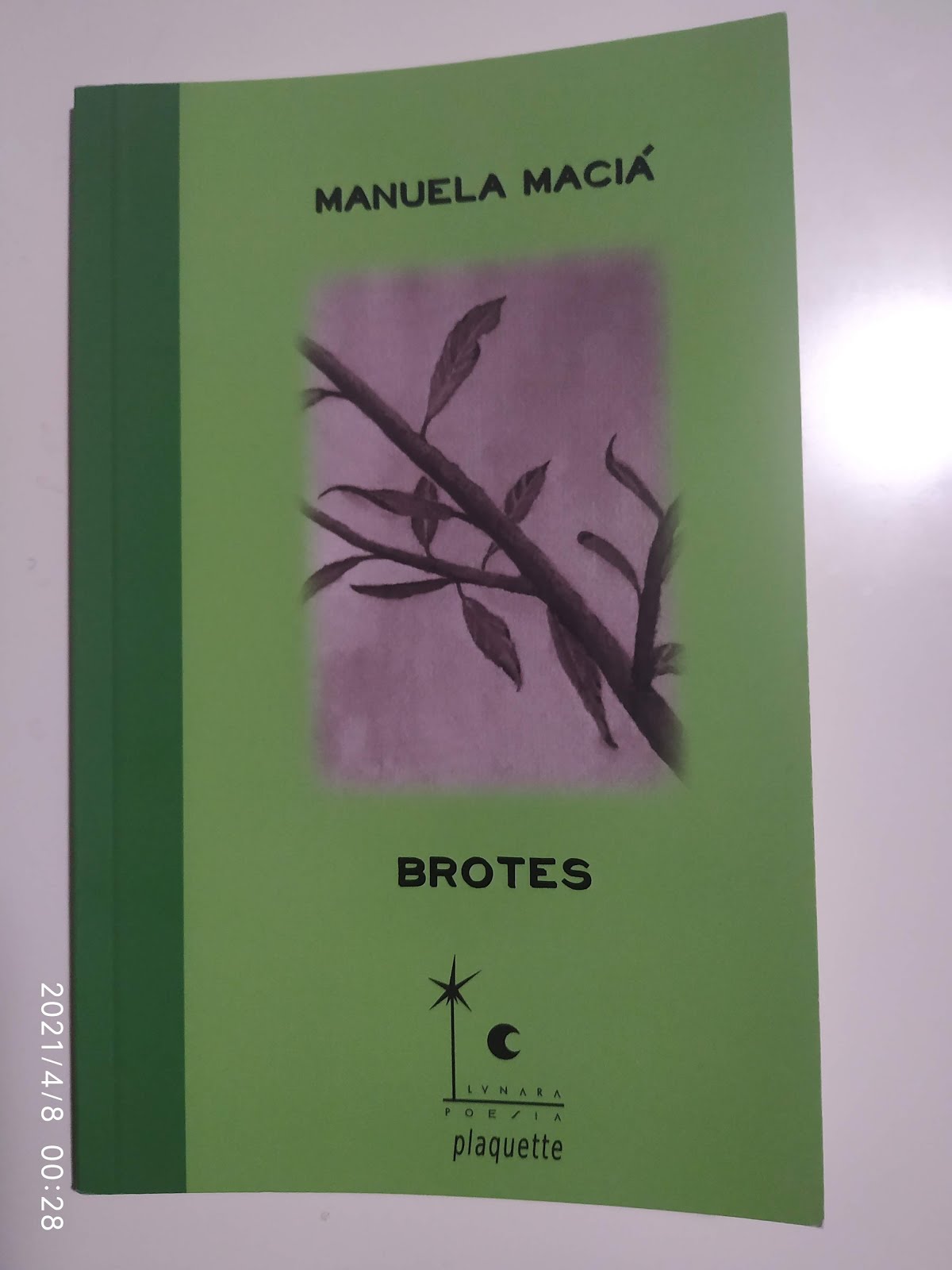 BROTES POEMAS EN PROSA