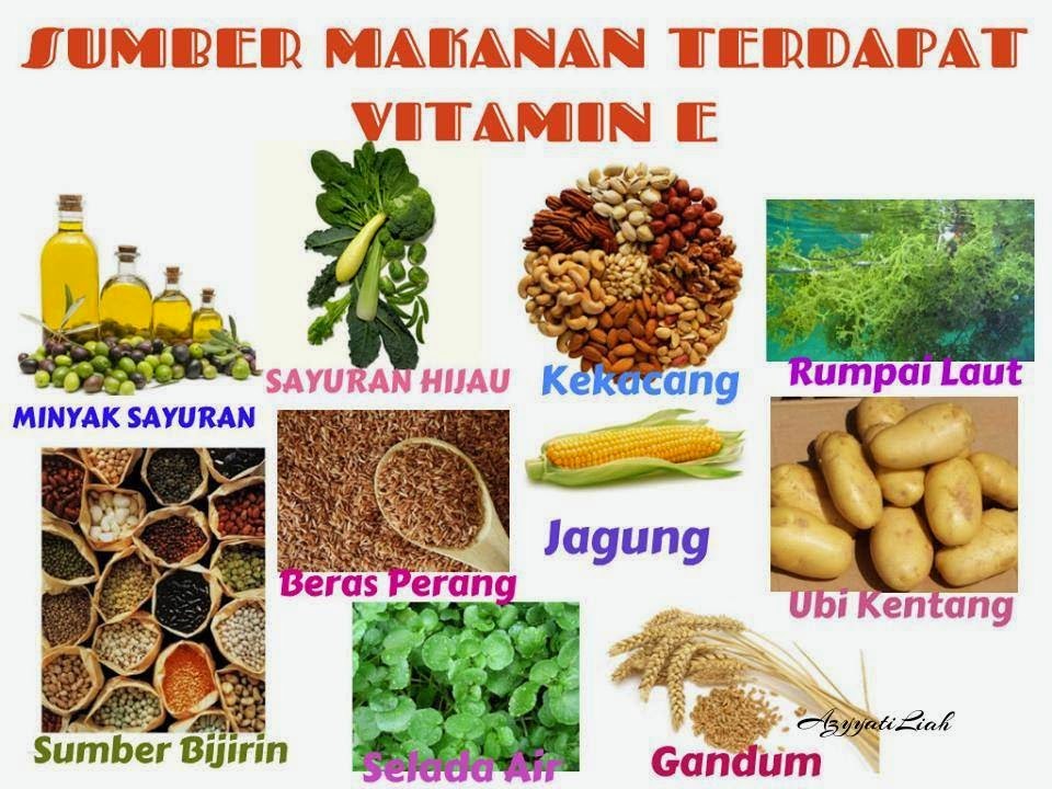 Vitamin Cerdas Cergas Kandungan Vitalea ke 3, Vitamin E