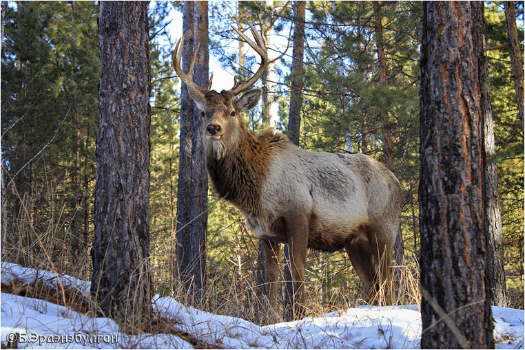 Compact Camera, Best Photo of the Day in Emphoka by Erdenebulgan B, Nikon Coolpix P510, https://flic.kr/p/m6CK9X Compact Camera, Best Photo of the Day in Emphoka by Erdenebulgan B, Nikon Coolpix P510, https://flic.kr/p/m6CK9X