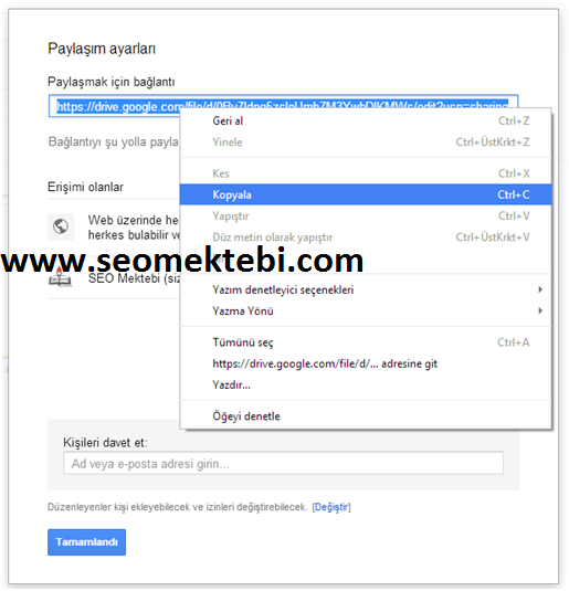 Google Drive Kullanarak Blogger'da CSS Dosyaları Yayınlama