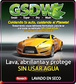 GSDW LAVADO Y ENCERADO EN SECO