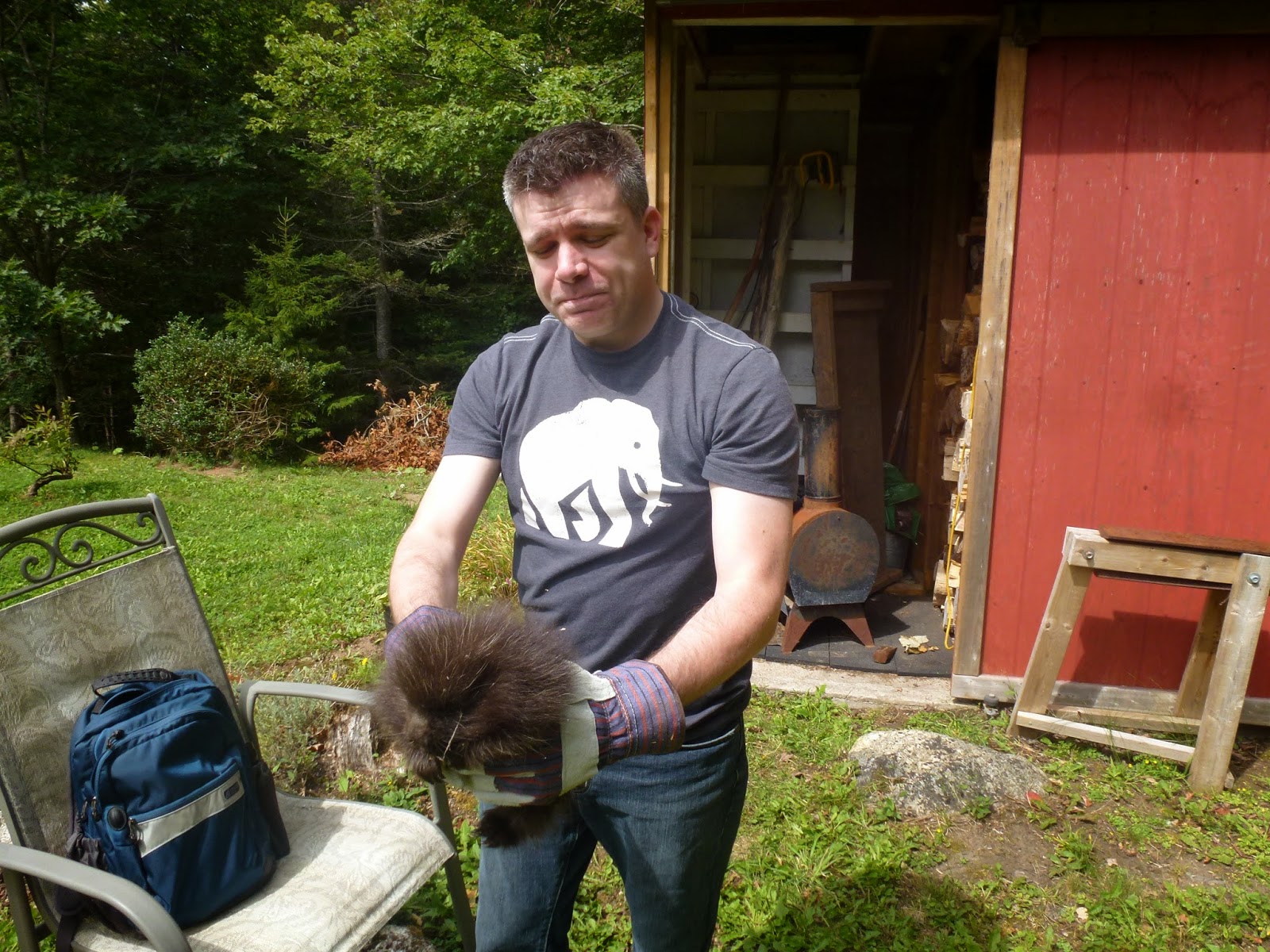 From Stillwater Kayo, Young Porcupine and Hope For Wildlife