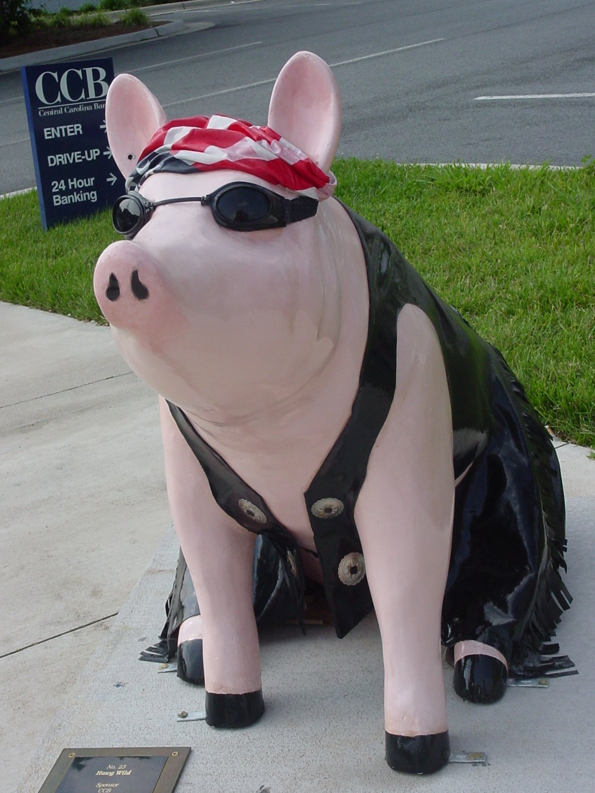 Mitchells on the trail Lexington North Carolina Pigs Part 3