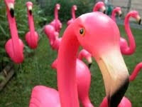 Flamingo Thief - Based on the Susan Trott novel of the same name.