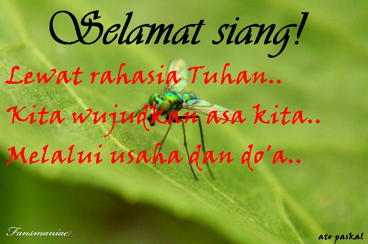 NYANYIAN HATI: Ucapan Selamat Siang dan sore
