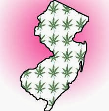 Nova Jersey e o cultivo de cânhamo Cânhamo grande fonte de renda