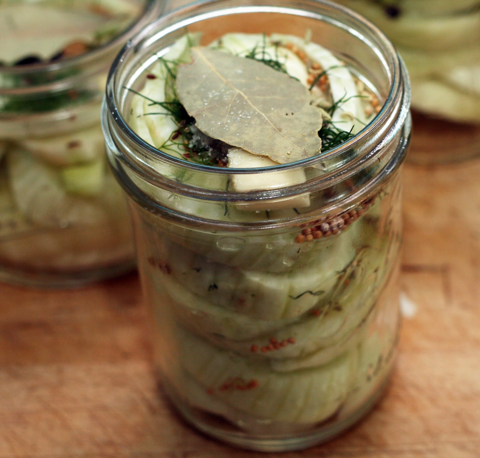 Pickled Fennel Coconut & Lime