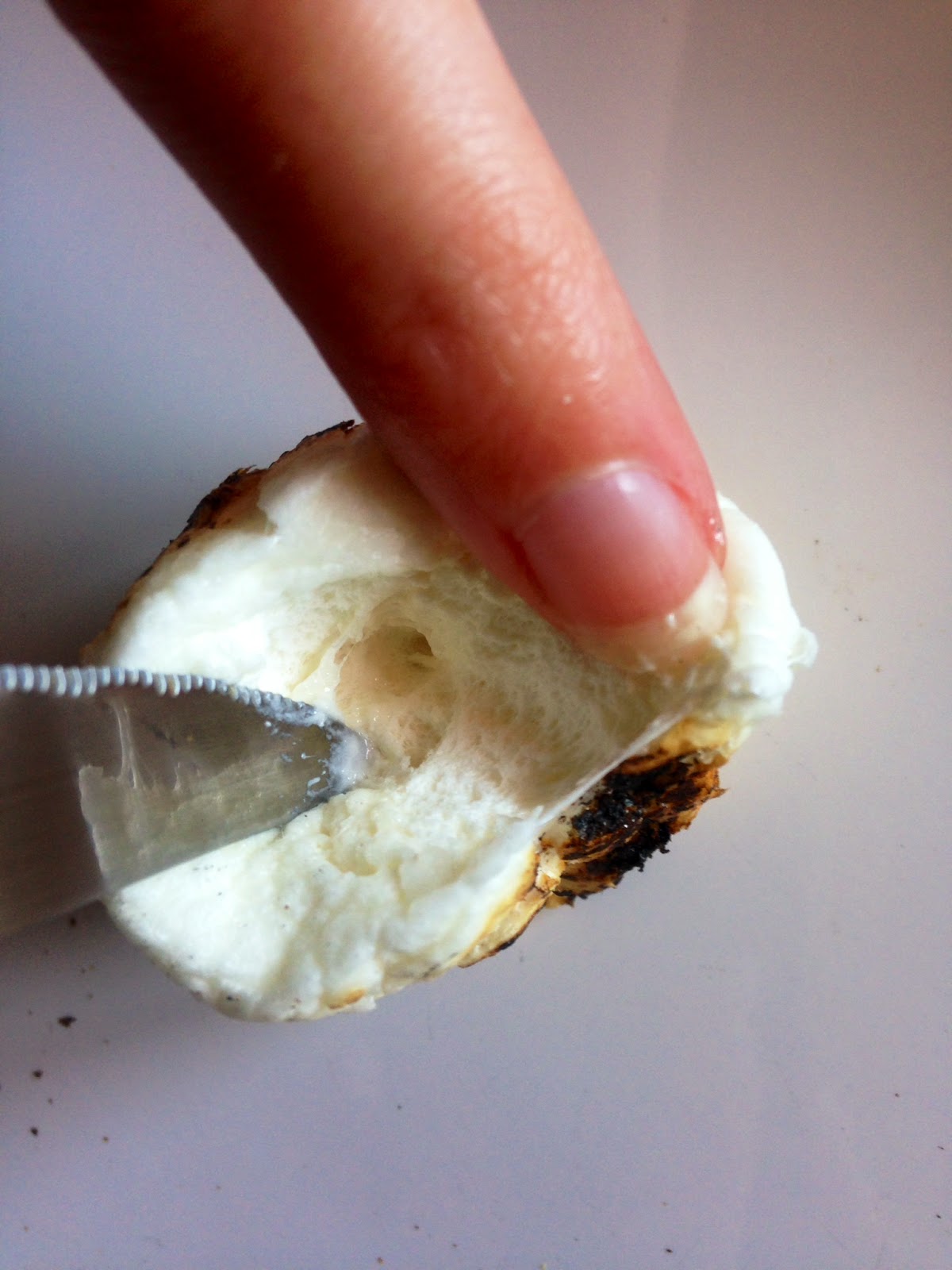 How To, How Hard, and How Much Debunking Roasted Marshmallow Kahlua Shots