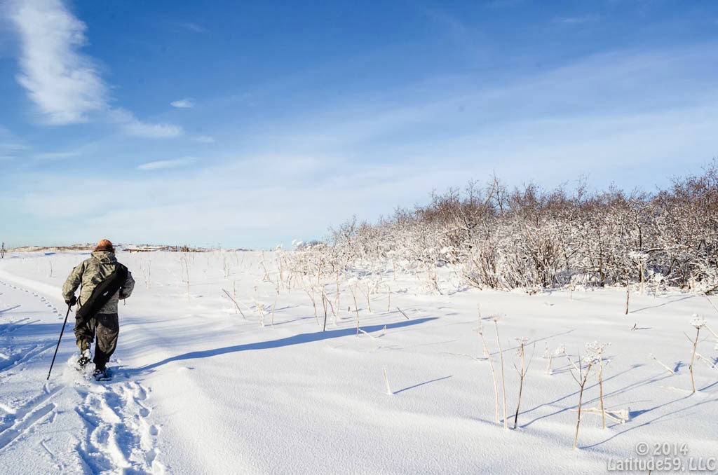 Winter Hiking Snowshoeing at Eveline State Recreation Site Guide