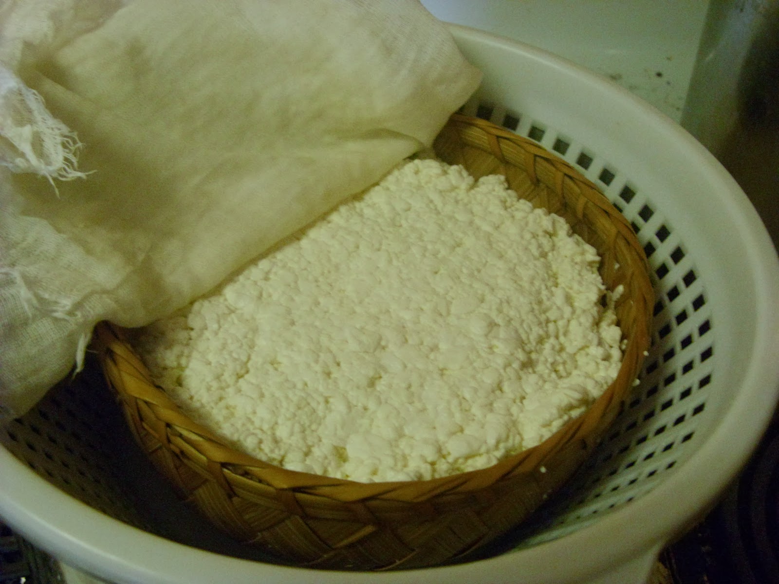 Medieval Cheese Forum Canestrato Italian Basket Cheese