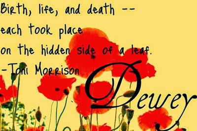 the hidden side of a leaf