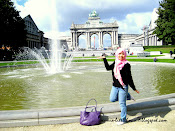 annie in brussels