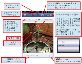 ニュースフィード